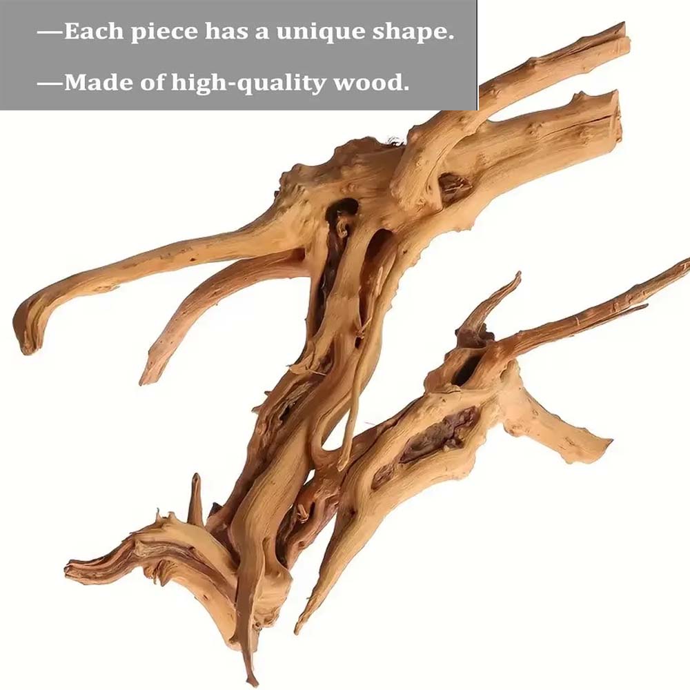 20-25CM Large Aquarium Driftwo - đánh giá và giá Planted Aquarium With Driftwood