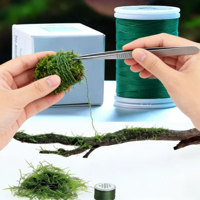 Biodegradable Aquarium Moss Th - đánh giá và giá Planted Aquarium With Driftwood