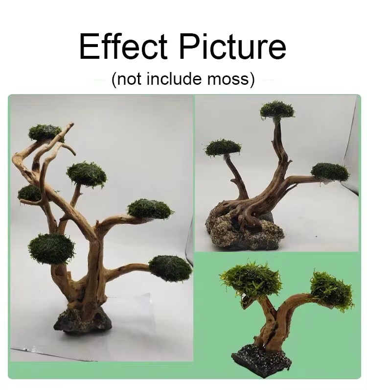 Fish Tank Plant Moss Tree Deco - đánh giá và giá Planted Aquarium With Driftwood