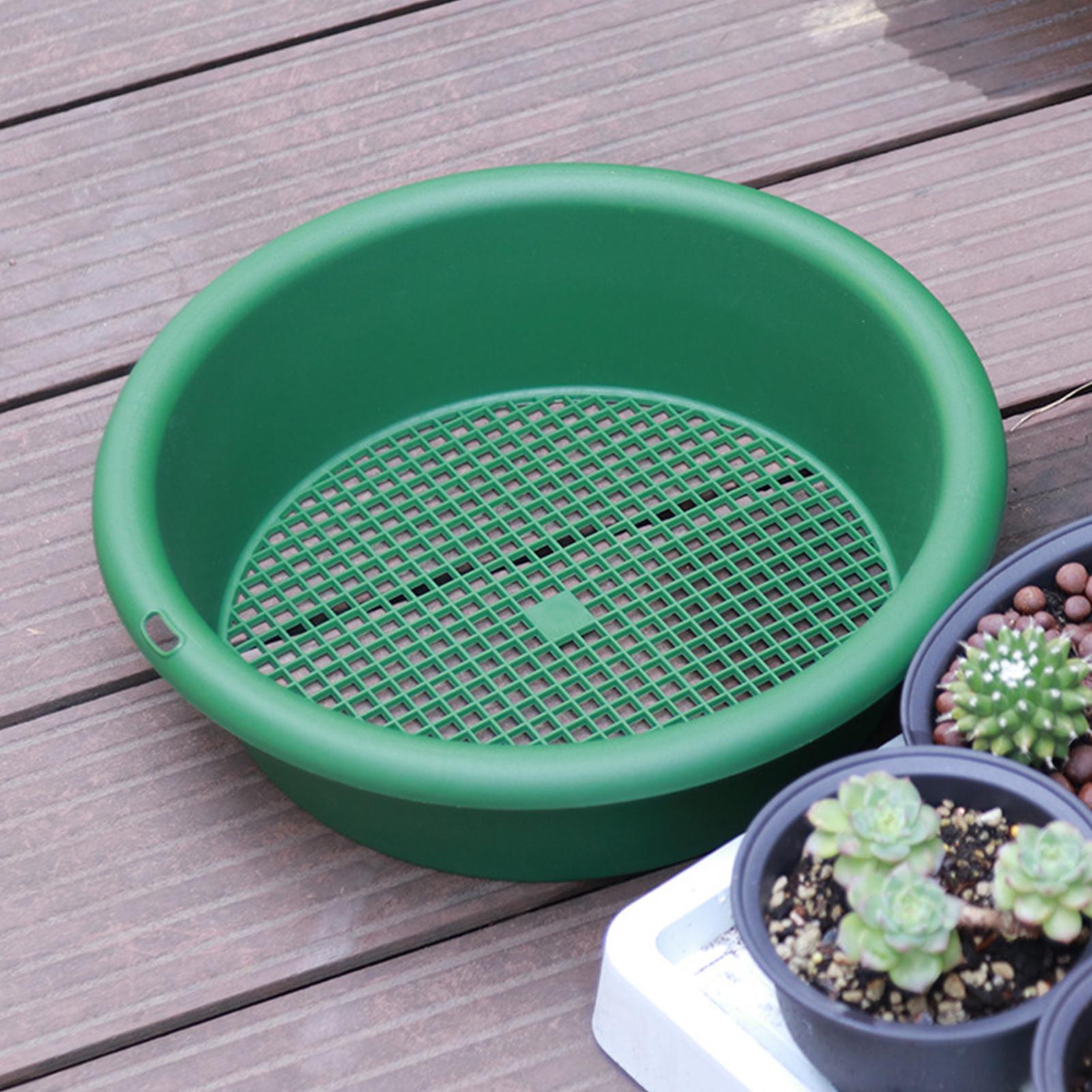 Sifter for Rocks Rustproof Pel - đánh giá và giá Tissue Culture Plant