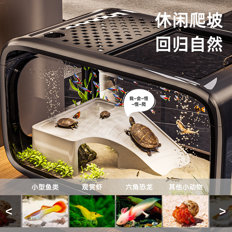 Fish Tank Accessories Aquarium - đánh giá và giá Planted Aquarium Bowl