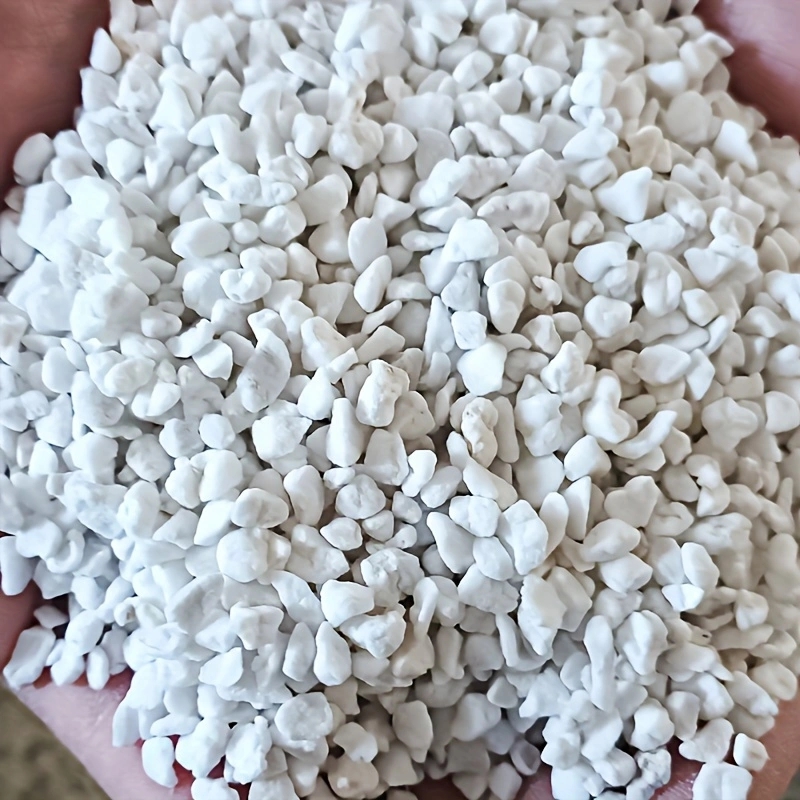 1 Pack of 3-6mm Horticultural  - đánh giá và giá Tissue Culture Plant