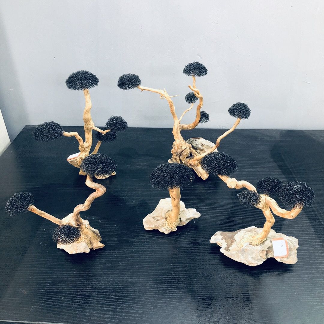 Bể Cá Cảnh Rêu Cây Gỗ Trôi Cá  - đánh giá và giá Planted Aquarium With Driftwood