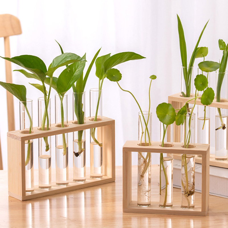 Hydroponic Plants Container wi - đánh giá và giá Tissue Culture Plant