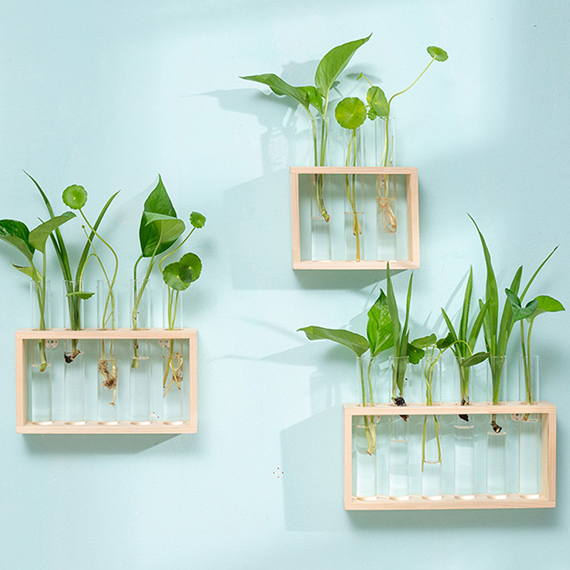 Hydroponic Plants Container wi - đánh giá và giá Tissue Culture Plant