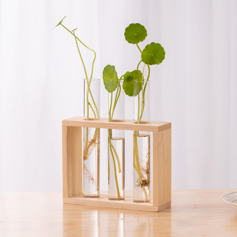 Hydroponic Plants Container wi - đánh giá và giá Tissue Culture Plant