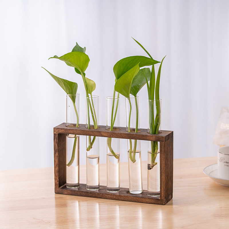 Hydroponic Plants Container wi - đánh giá và giá Tissue Culture Plant