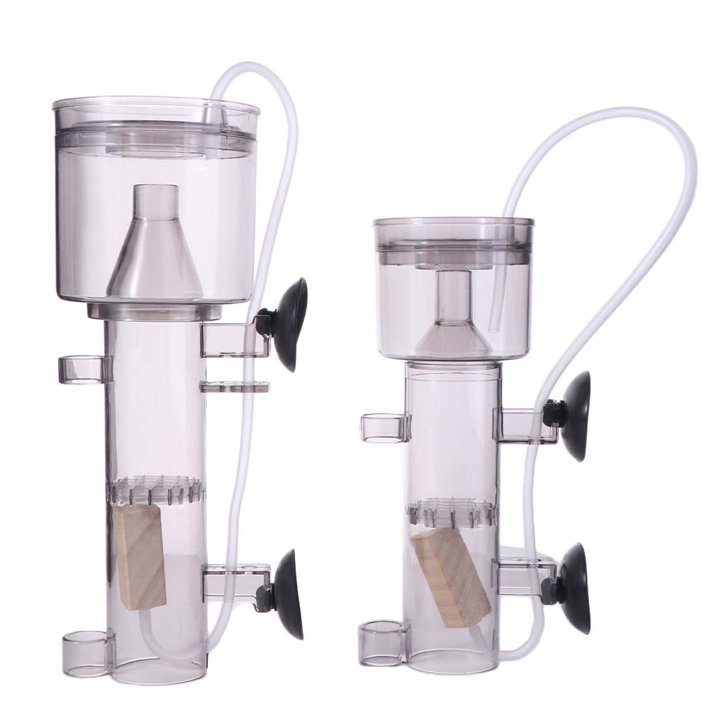 Suction Cup Aquarium Protein S - đánh giá và giá Aquarium Lily Pipe