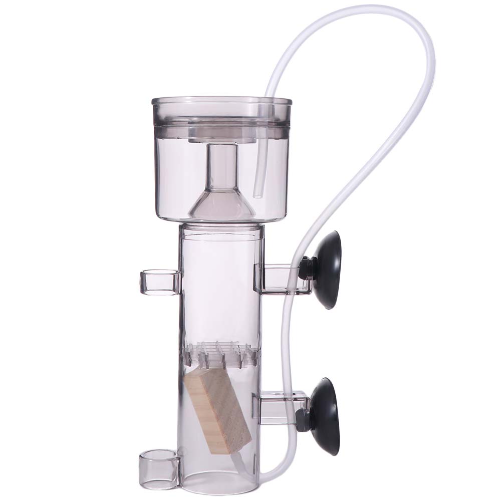 Suction Cup Aquarium Protein S - đánh giá và giá Aquarium Lily Pipe