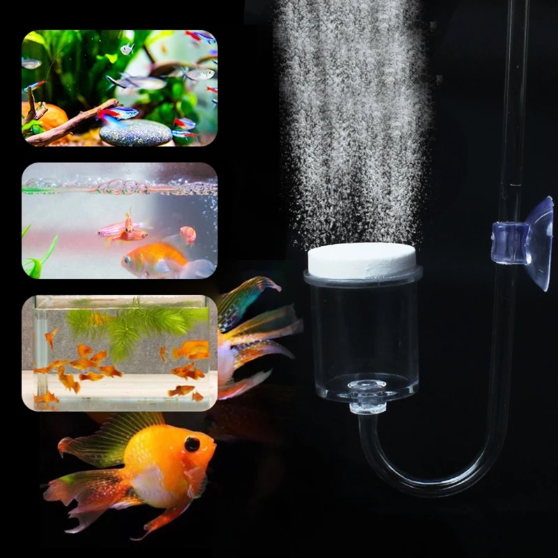 4pcs Set DIY CO2 Diffuser For  - đánh giá và giá Aquarium Plant Vine
