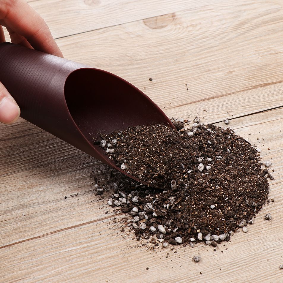 1PC Plastic Soil Shovel Cup Fo - đánh giá và giá Tissue Culture Plant
